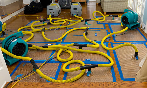 Professional Crawl Space Water Removal technician working in New Hampton, IA
